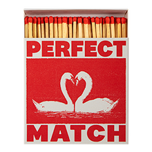 Load image into Gallery viewer, I Like You Swans Safety Matches