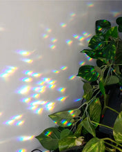 Load image into Gallery viewer, Sidewinder Suncatcher