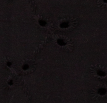 Load image into Gallery viewer, Cotton Eyelet Top | Black