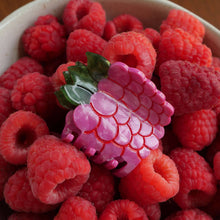 Load image into Gallery viewer, Raspberry Hair Claw
