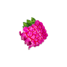 Load image into Gallery viewer, Raspberry Hair Claw