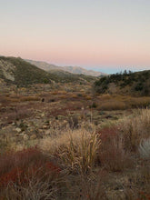 Load image into Gallery viewer, Ojai 1979 Oil Roller