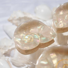 Load image into Gallery viewer, Seashell Hair Claw