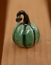 Load image into Gallery viewer, Medium tiny pumpkins (half dollar sized)