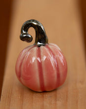 Load image into Gallery viewer, Medium tiny pumpkins (half dollar sized)
