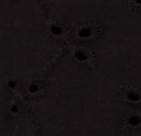 Cotton Eyelet Top | Black