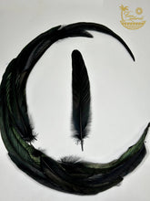 Load image into Gallery viewer, Black Feathers for Smudging
