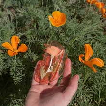 Load image into Gallery viewer, California Poppy Wildflower Hair Claw in Clear Acetate
