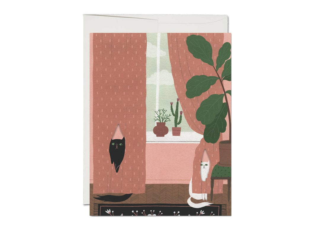 Cat Crimes Card
