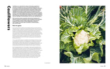 Load image into Gallery viewer, Grow to Eat
