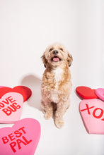 Load image into Gallery viewer, Big Love Market | Valentine&#39;s Pet Portraits
