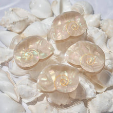 Load image into Gallery viewer, Seashell Hair Claw
