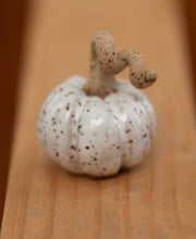 Load image into Gallery viewer, Medium tiny pumpkins (half dollar sized)
