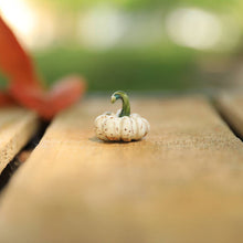 Load image into Gallery viewer, Tiny pumpkins
