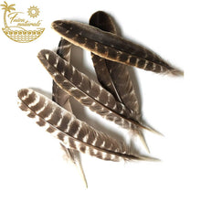 Load image into Gallery viewer, Feathers for Smudging
