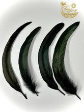 Load image into Gallery viewer, Black Feathers for Smudging
