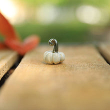 Load image into Gallery viewer, Tiny pumpkins
