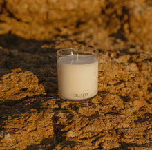 Load image into Gallery viewer, No. 03 Medium Candle - The Scent of Late October
