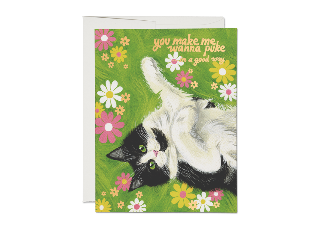 Nice Kitty Greeting Card