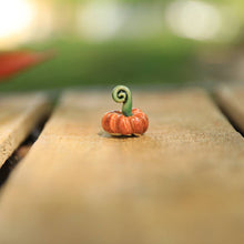 Load image into Gallery viewer, Tiny pumpkins
