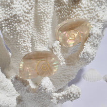 Load image into Gallery viewer, Seashell Hair Claw
