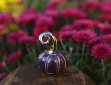 Load image into Gallery viewer, Medium tiny pumpkins (half dollar sized)
