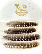 Load image into Gallery viewer, Feathers for Smudging
