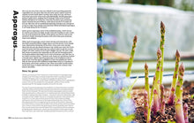 Load image into Gallery viewer, Grow to Eat
