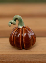 Load image into Gallery viewer, Medium tiny pumpkins (half dollar sized)
