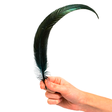 Load image into Gallery viewer, Black Feathers for Smudging
