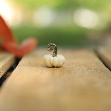 Load image into Gallery viewer, Tiny pumpkins
