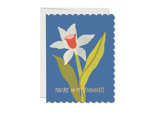 Daffodil Sympathy Card