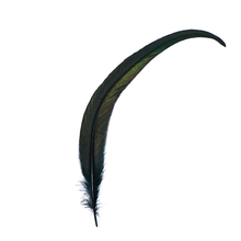 Load image into Gallery viewer, Black Feathers for Smudging
